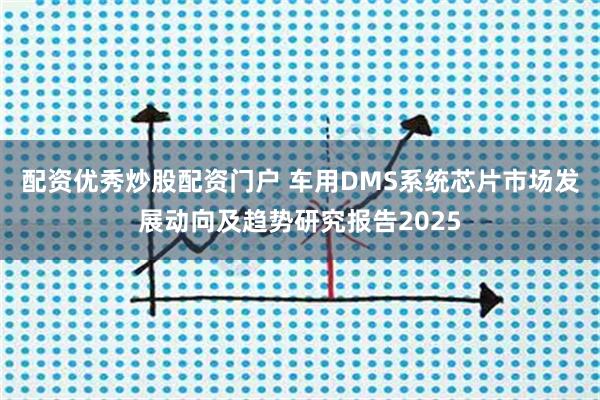 配资优秀炒股配资门户 车用DMS系统芯片市场发展动向及趋势研究报告2025